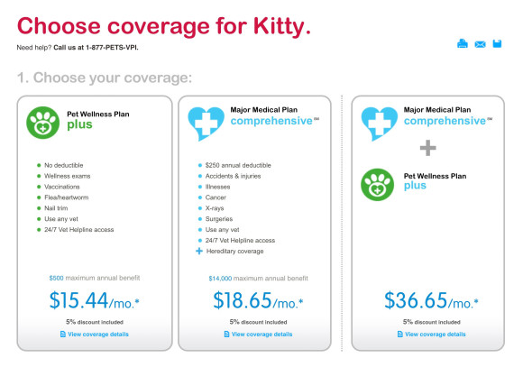 kitty-insurance-580x407